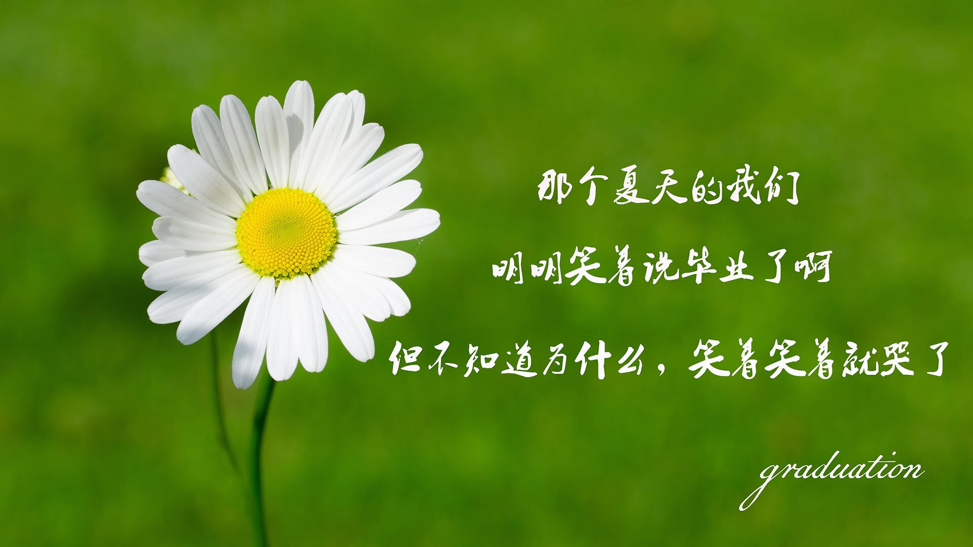 爱游戏体育官网-球队化学反应：战术体系与俱乐部文化结合，足球世界化学反应什么意思