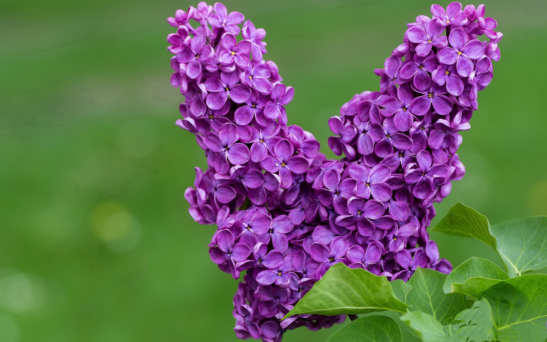 CBA球队青训梯队建设成果显现,cba青训队怎么选人