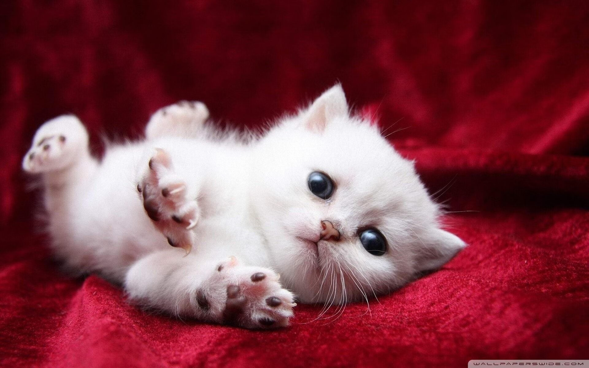 “东安湖体育公园：水上项目引领2025世界运动会热潮”