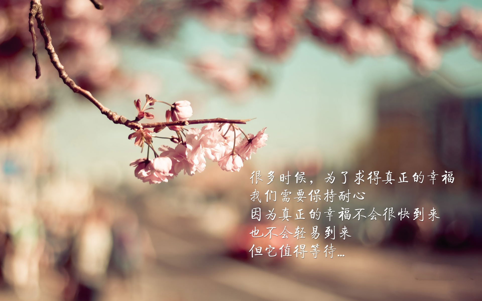 中国三人篮球男队积极拓展战术深度,中国三人篮球男队战绩