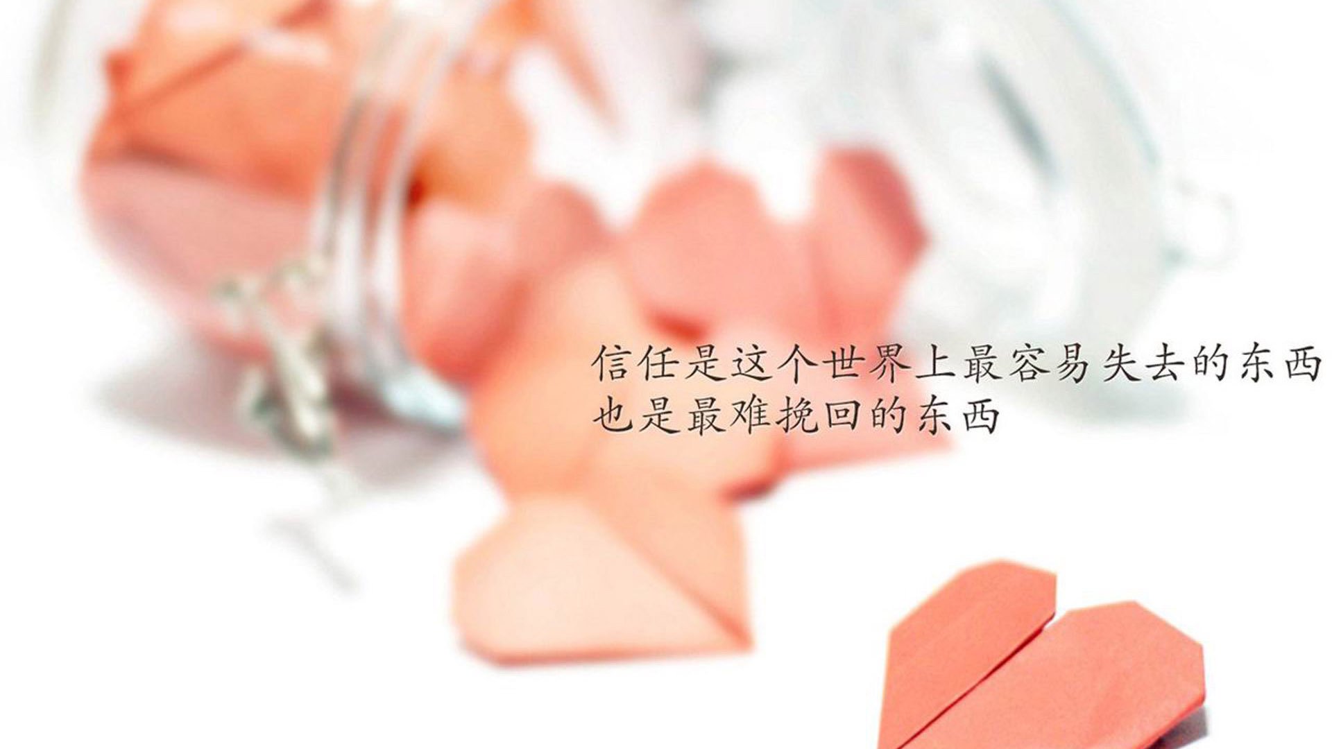 中国女篮团队配合日益默契,中国女篮和谁一组