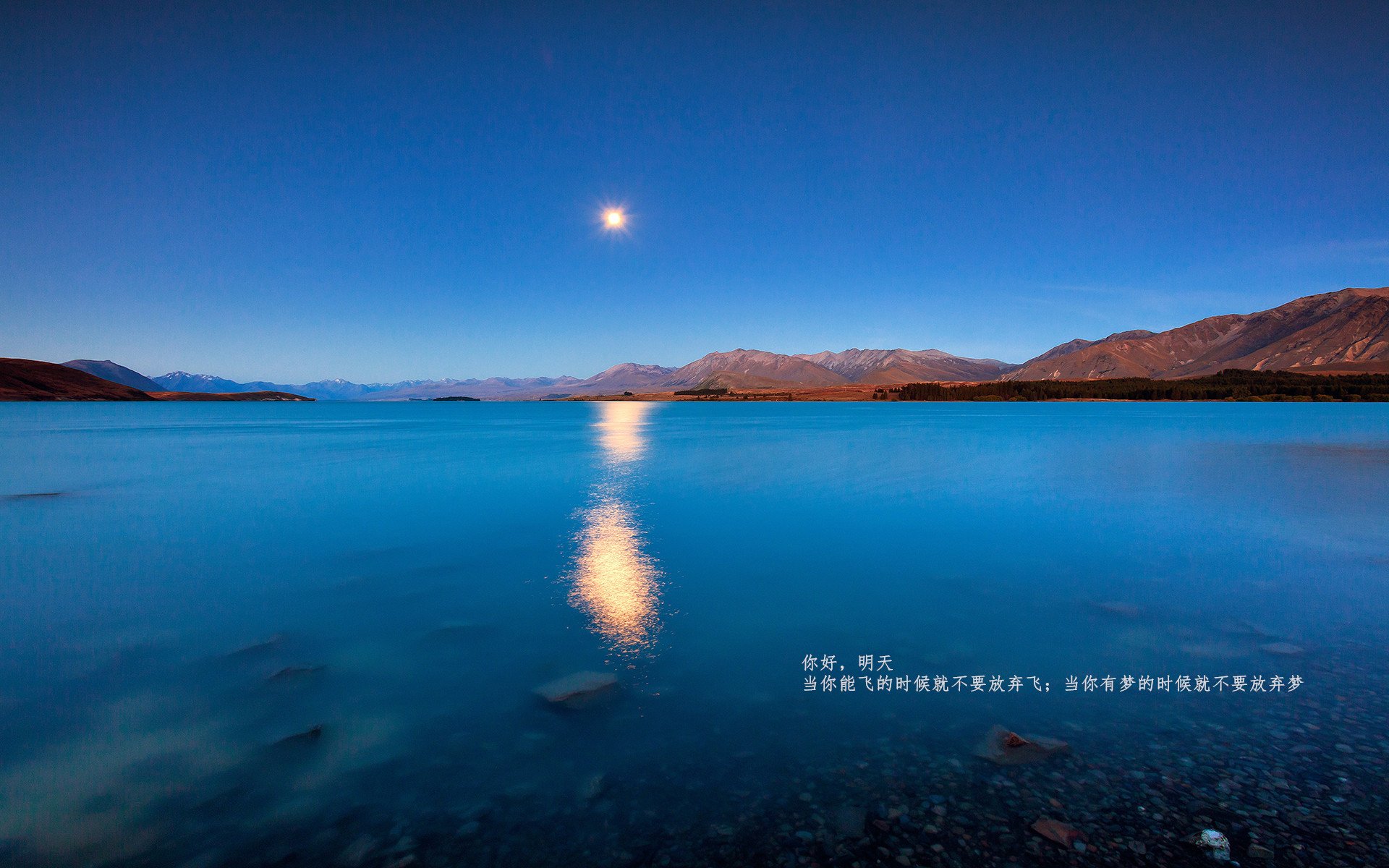 爱游戏官网-亚冠联赛国家队惨败 球迷呼吁改变策略，亚冠联赛扩军