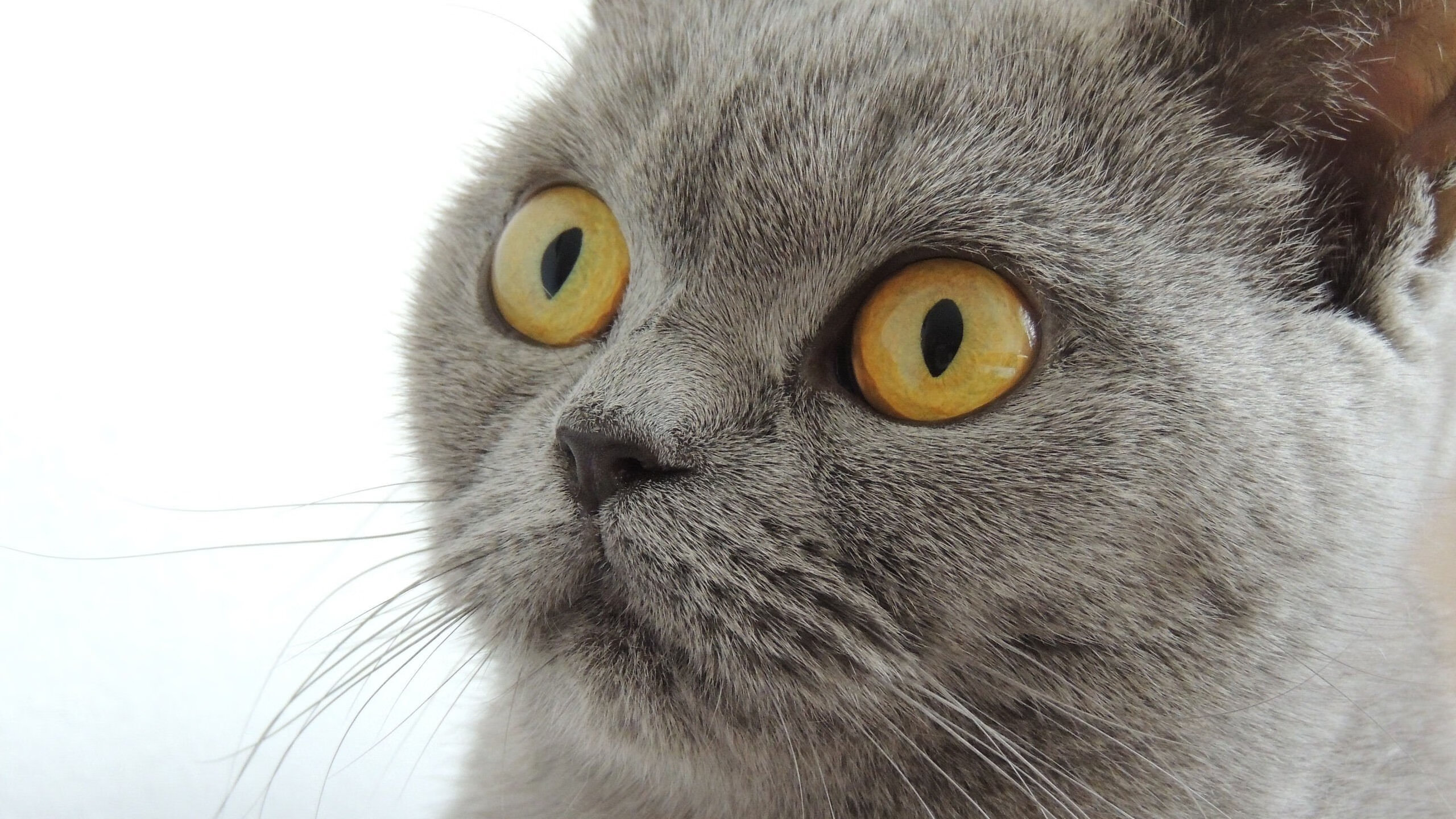 爱游戏体育入口-多名选手刷新个人历史最好成绩