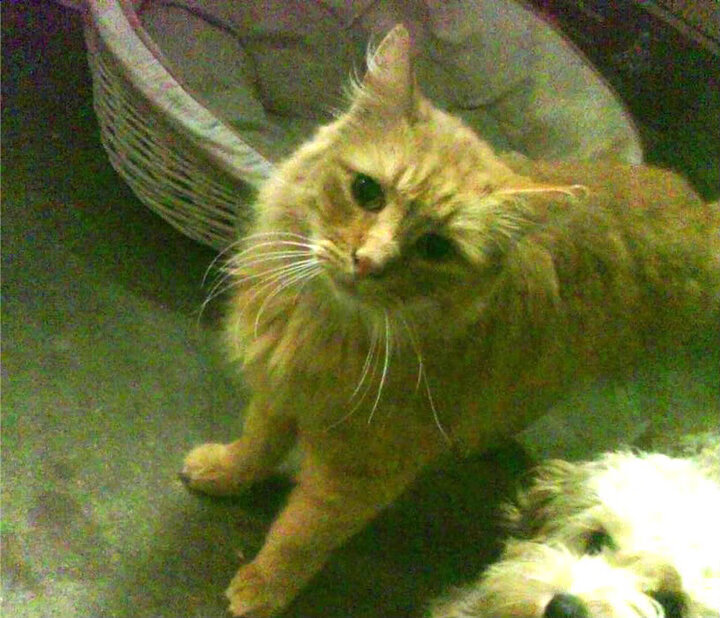 多名选手刷新个人历史最好成绩