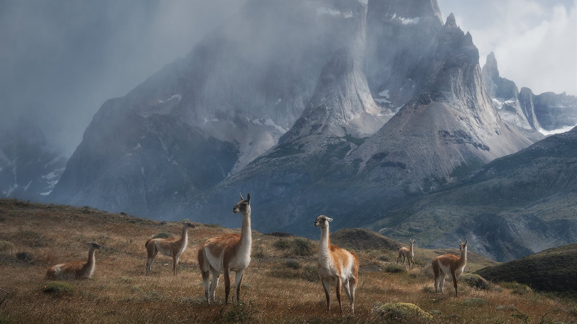 替补席边路球员是否更容易制造比赛变量,足球比赛替补席距离边线距离