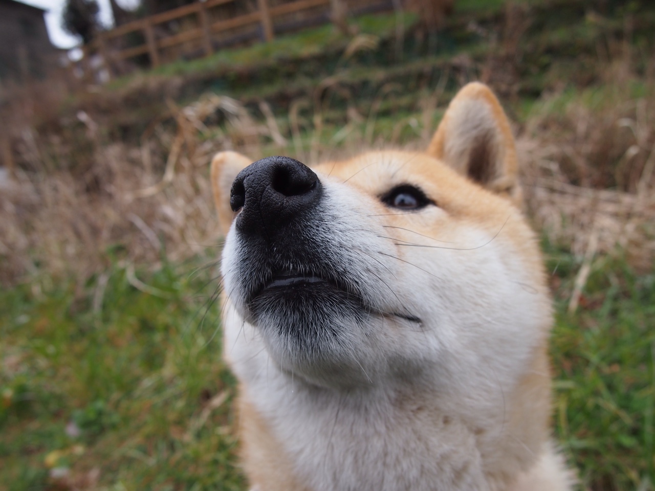 爱游戏体育娱乐-裁判评分系统实现视频多角度精准回放，裁判评分技巧