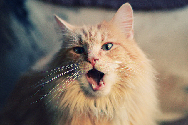 中国足球国家队开展跨部门协作训练实验，此次中国足协进一步细分部门细化管理