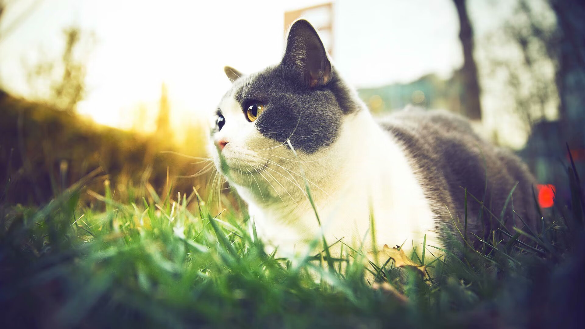 中国足球职业俱乐部推广队内知识竞赛激励，足球知识竞赛活动方案