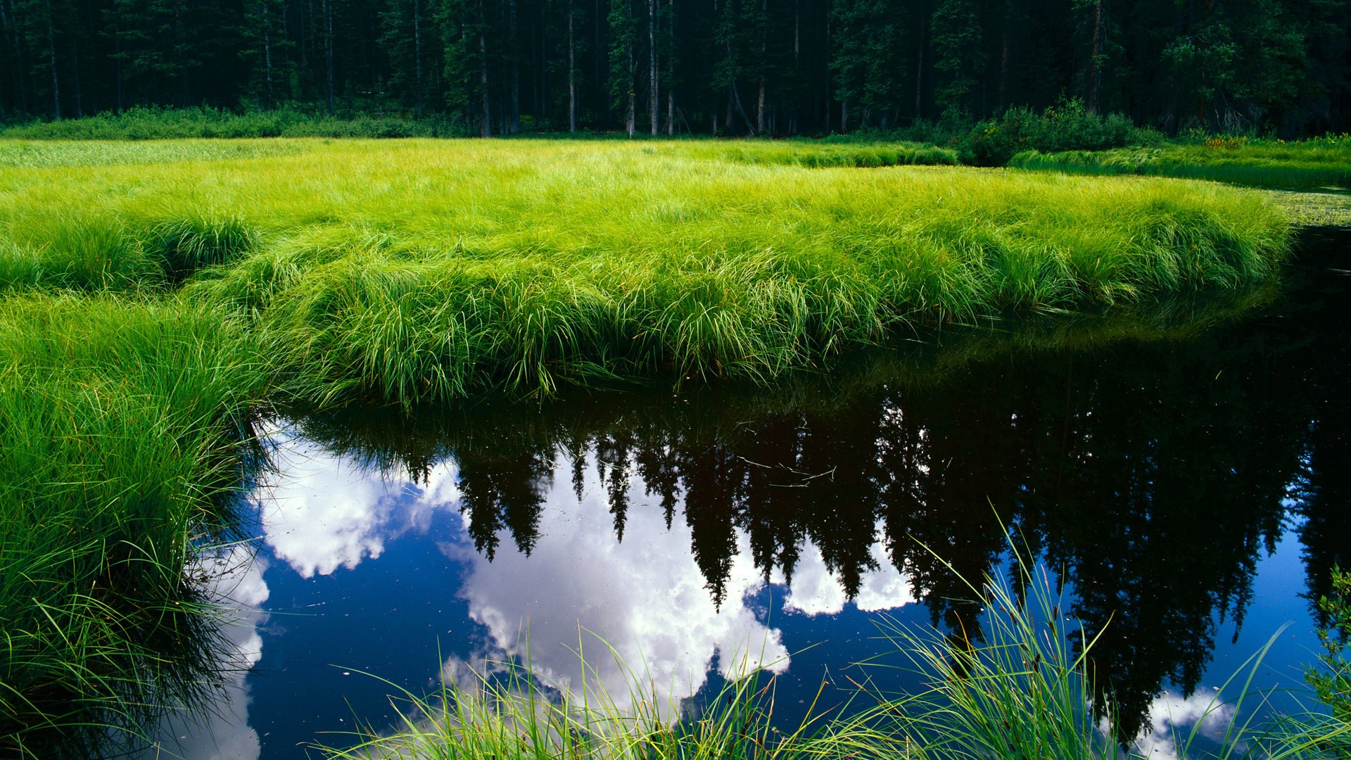 单节比分控制精准,比分接近常态,比分单多还是双多