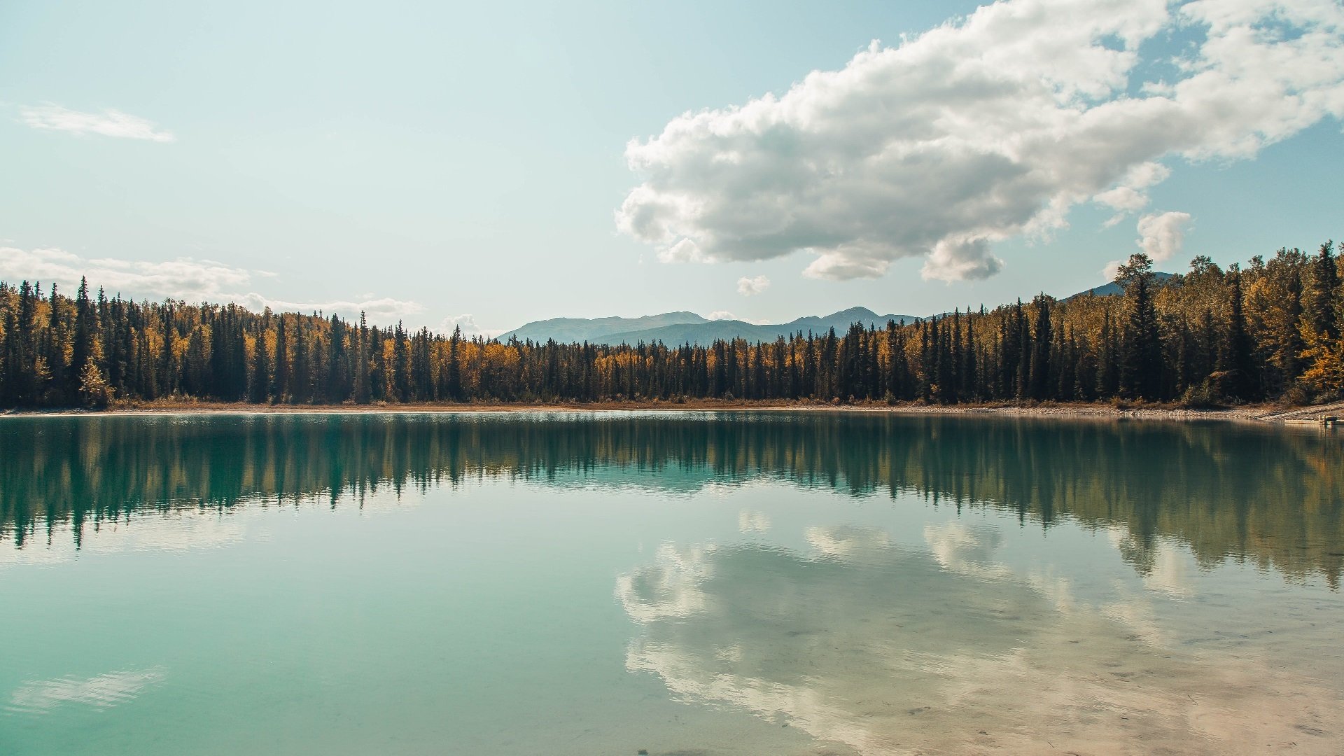 南非羚羊队：身体对抗与速度的完美融合，在比赛中展现无与伦比的统治力
