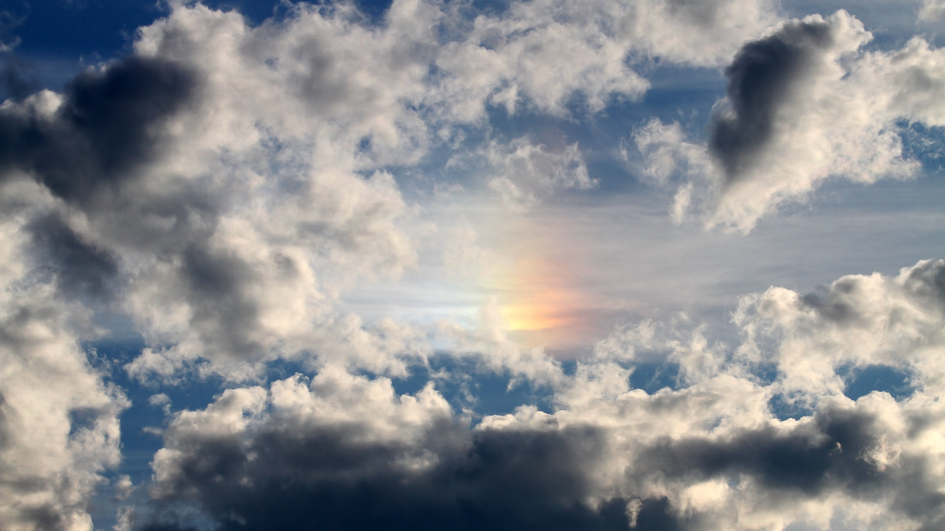 地方体育局推动女子篮球发展启动女篮推广专项计划,女子篮球队招生