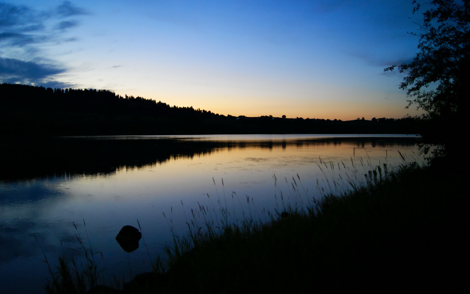 美洲杯激情爆棚:明星竞技,精彩纷呈!,z美洲杯