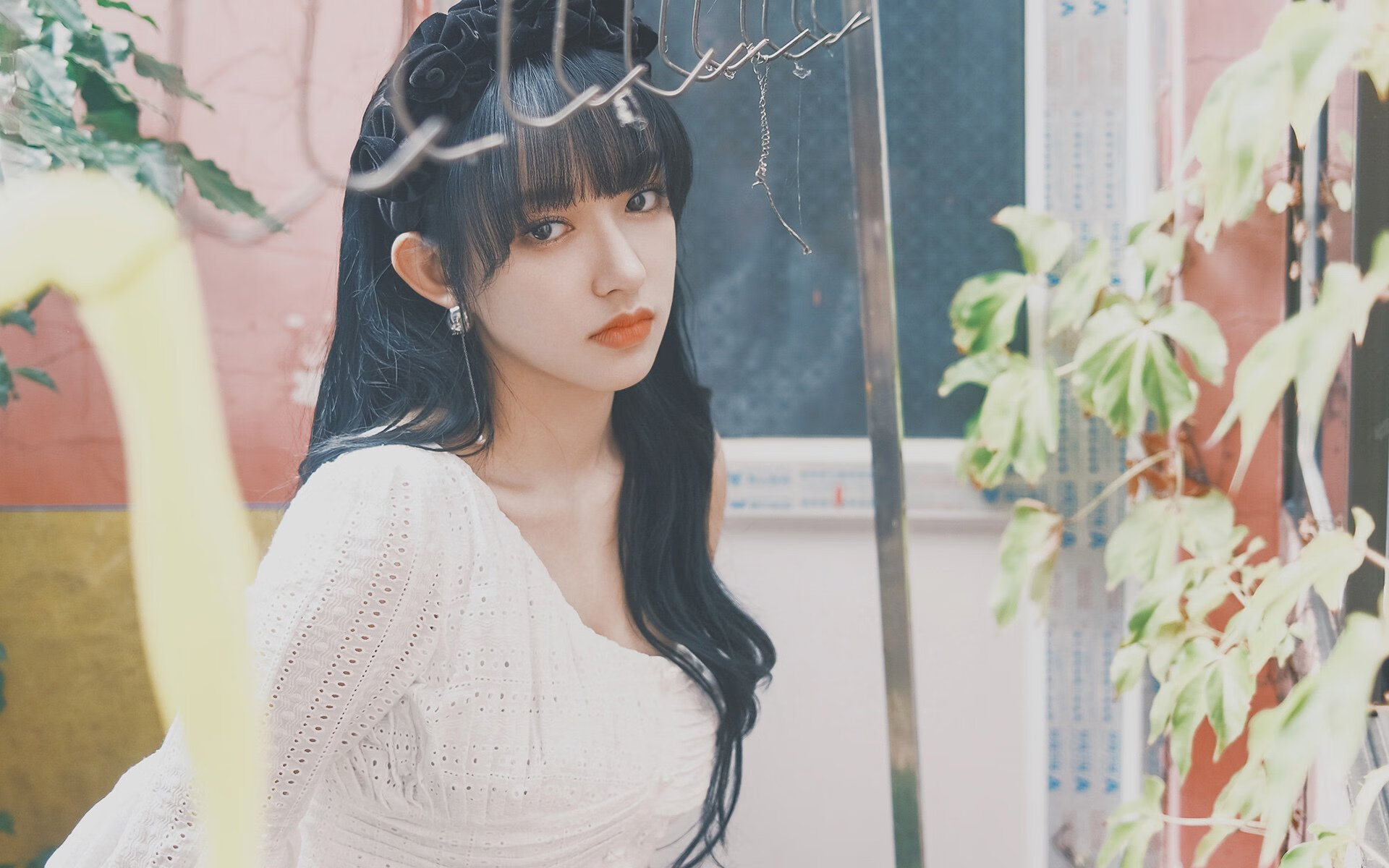 蛙泳冲刺奥地利突破个人最佳,澳大利亚蛙泳