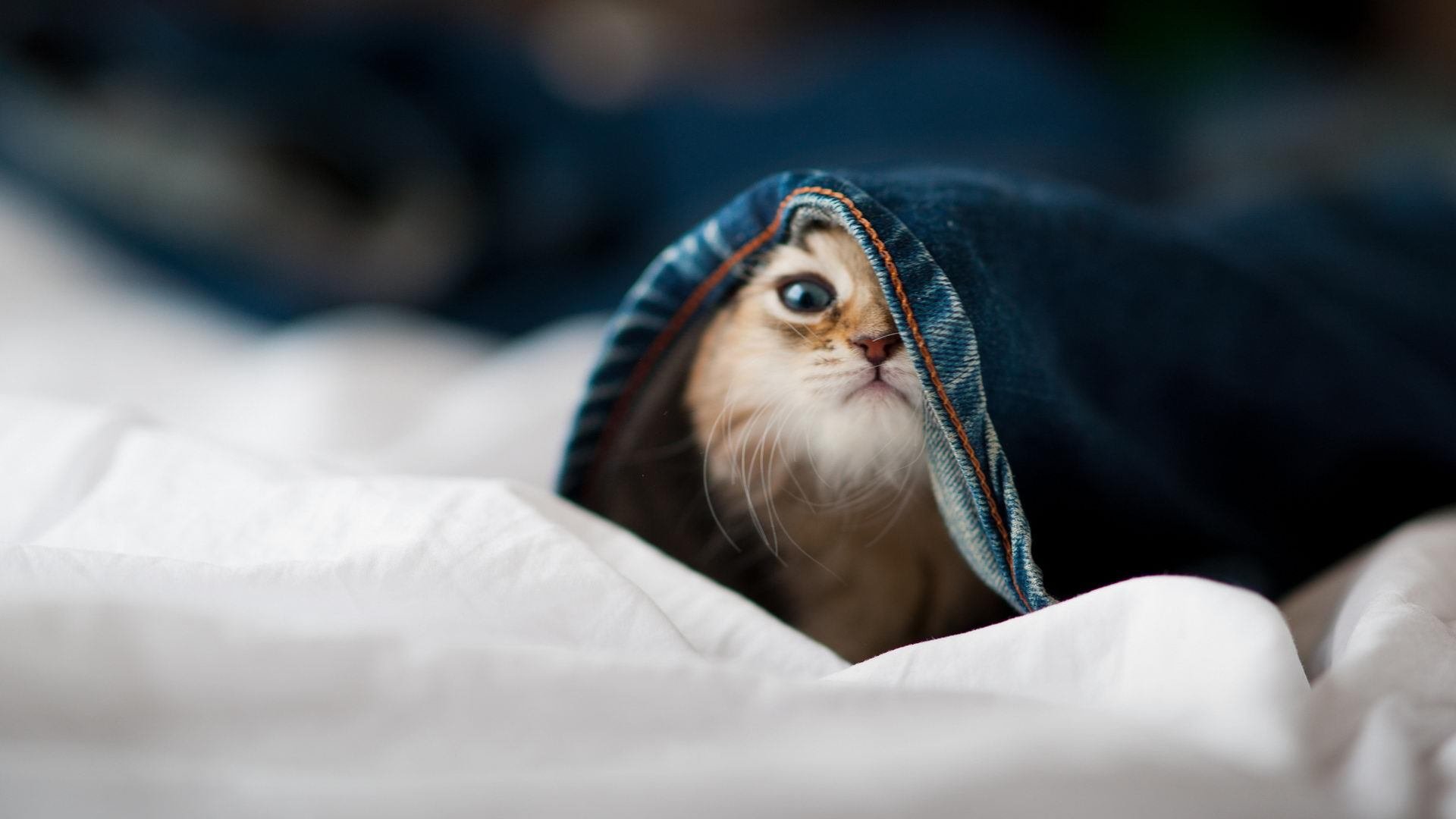 爱游戏体育入口-裁判组全程高标准执法比赛节奏控制精准到位，裁判员严格执法